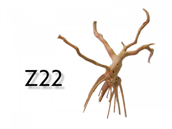 Fingerwurzel Z22 Wurzel, Wurzelholz, Holz für das Aquarium, online bestellen