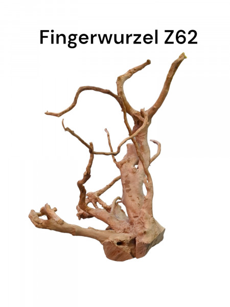 Fingerwurzel Z62 knorrige Moorwurzel für das Aquarium, Flussholz, individuelle Wurzel Aquariumdekoration, natürliche Höhle für Zierfische und Welse