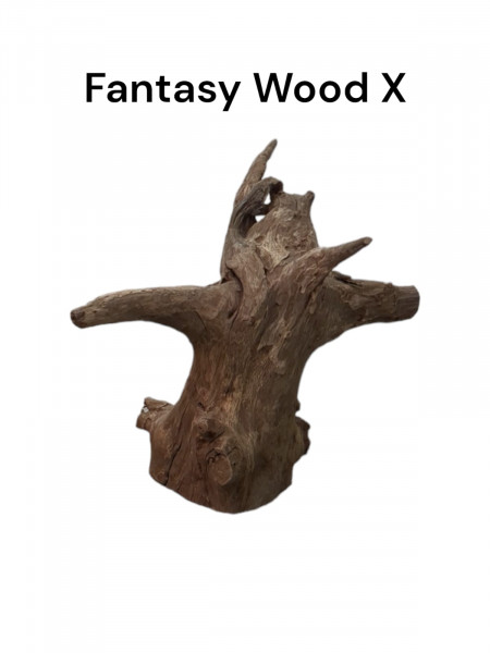 Fantasy Wood X ist eine individuelle und einzigartige Aquariumdekoration, Höhle, Ruheplatz, Flussholzwurzel für das Aquarium, online günstig bestellen