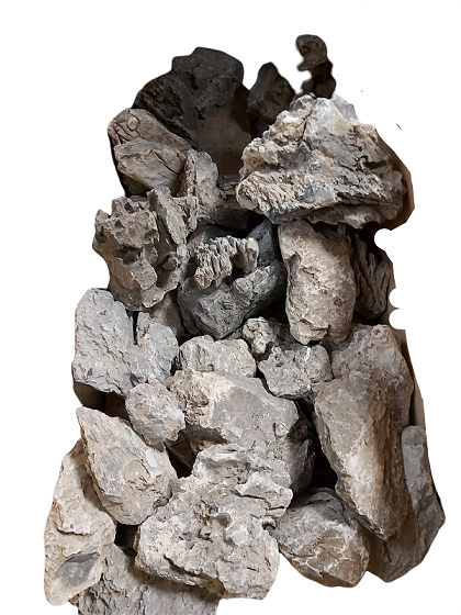 Mini Landschaft kaufen- Seiryu Rocks die Tollen Steine für das Aquarium bei Aquaristikwelt Dresden