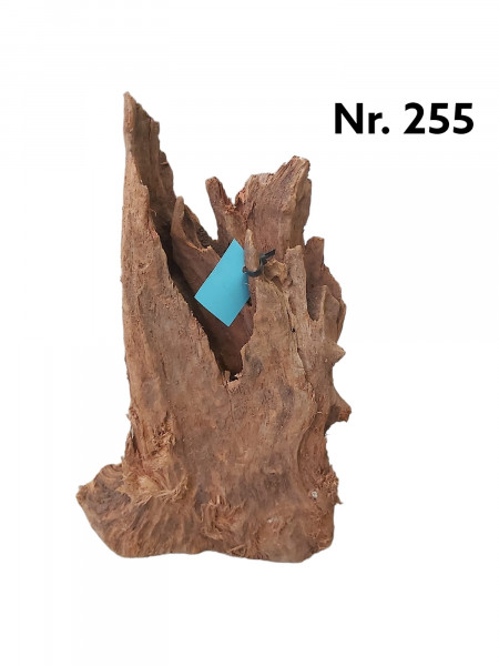 Aquariumwurzel Mangrovenwurzel Nr. 255 als Wurzel und Holz für dein Aquarium, jederzeit online bestellen als Unikat