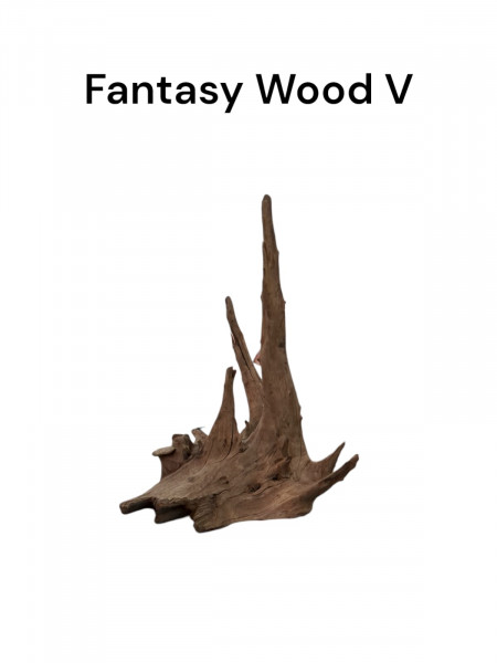 Fantasy Wood V individuelle Dekoration, Wurzel, Flussholz, Wurzelholz für das Aquarium, Scaperstank, Becken, Nanobecken online bestellen, jederzeit günstig im Onlineshop