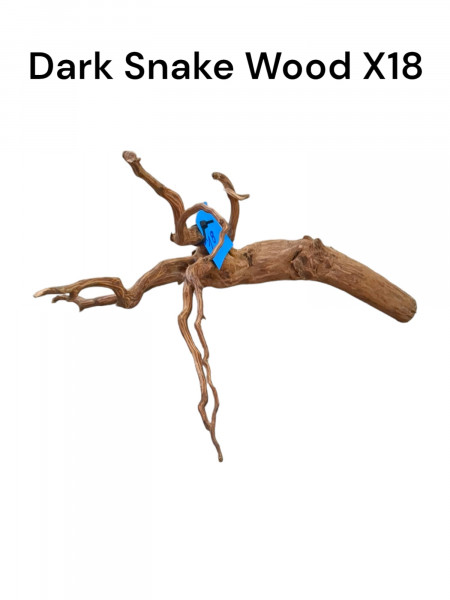 aquariumwurzel snakewood die schlangenwurzel für dein aquarium als Huminlieferant und dekoration. jetzt unikate online bestellen