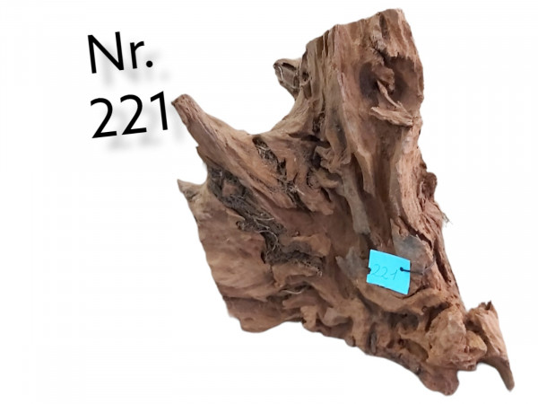 Aquarienwurzel Mangrovenwurzel Nr. 221 kaufen online günstig, Mangrove Holz Wurzel im Aquarium, Waage als Aquariumdekoration, Welshöhle