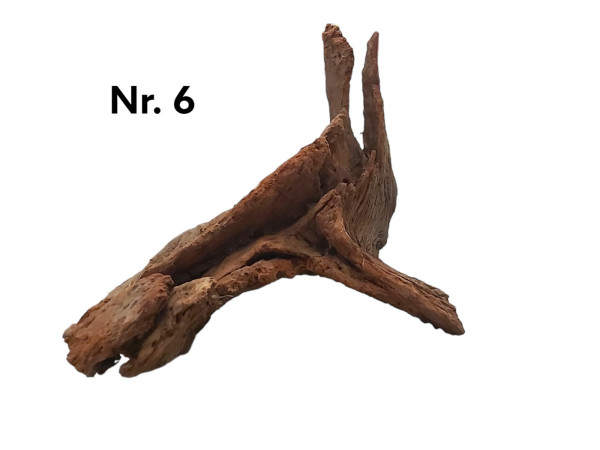 Mangrovenwurzel Nr. 6 die individuelle und einzigartige Mangrove, Aquariumwurzel, Wurzel für dein Aquarium