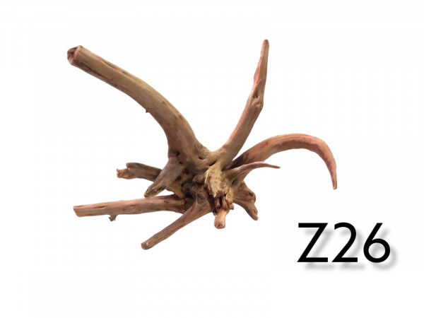 Fingerwurzel Z26 spinnenartiges Holz, Waldwurzeloptik, Wurzelholz, Aquarienwurzel, natürliche Dekoration, online günstig bestellen