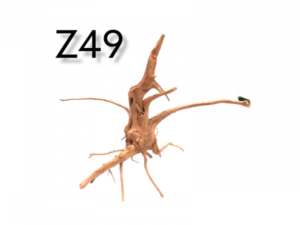 Fingerwurzel Z49 filligrane Wurzel für das Aquarium, im onlineshop bestellen, Wurzeln online kaufen, Aquariumwurzel