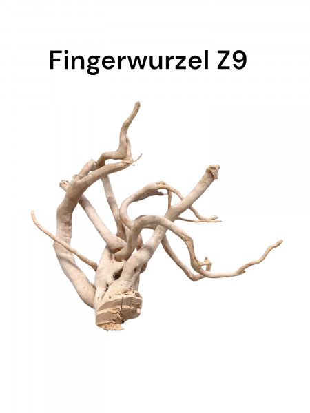 Fingerwurzel Z9 Wurzel für Aquarien, Scapertank Dekoration, Tank Decoration,
