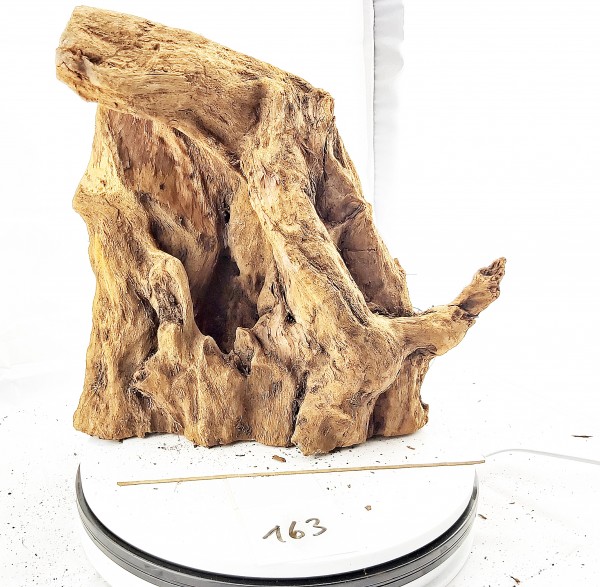 Mangrovenwurzel Otto Dekowurzel Wood fürs Aquarium Mangrovenholz Wurzeln zu günstigen Preisen mit Auswahl