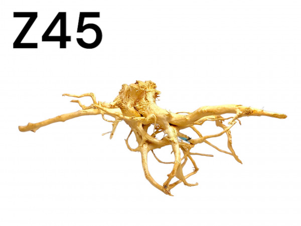 Fingerwurzel Z45 Wurzelholz, Spinnenartige Wurzel, Höhle für das Aquarium, Onlineshop kaufen, online bestellen