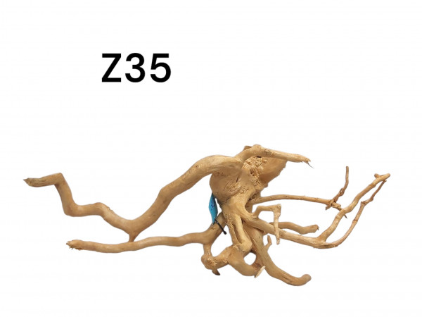 Fingerwurzel Z35 eine kleine Nano Aquarium Wurzel Moorwurzel Fingerwurzel kaufen
