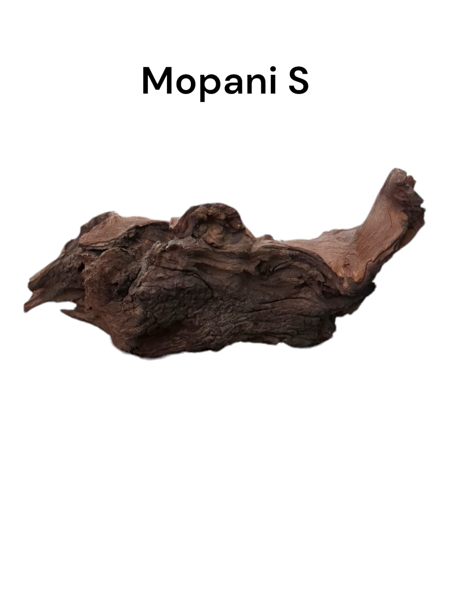 mopani s2.jpg