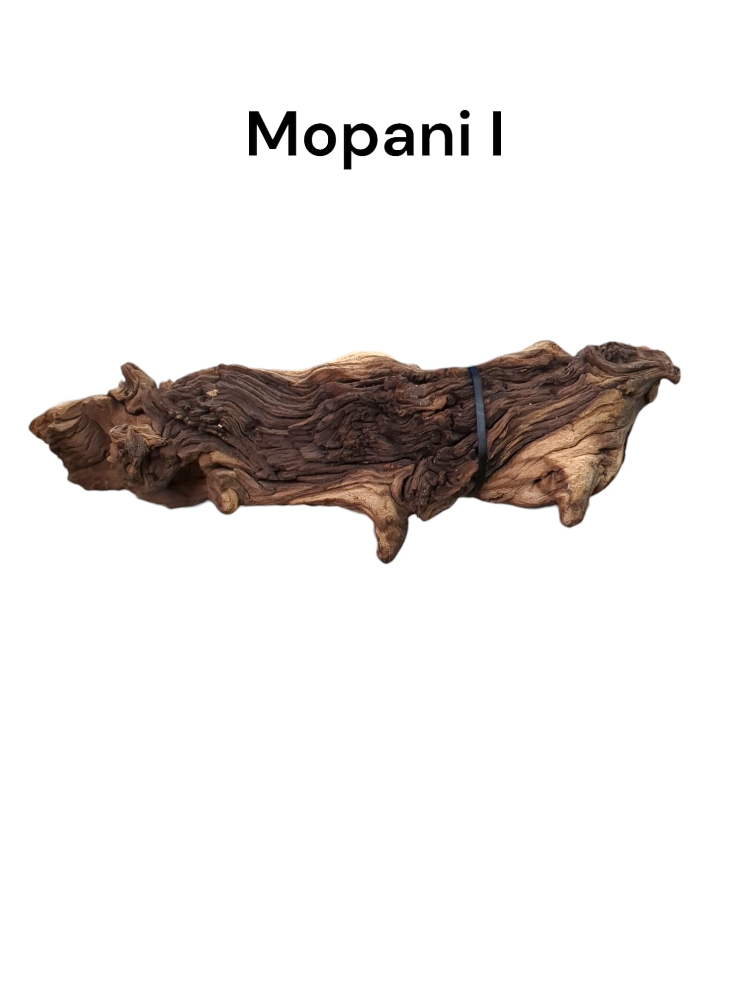 mopani i.jpg