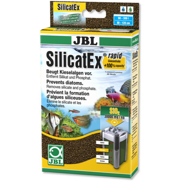 SilicatEx rapid 400g