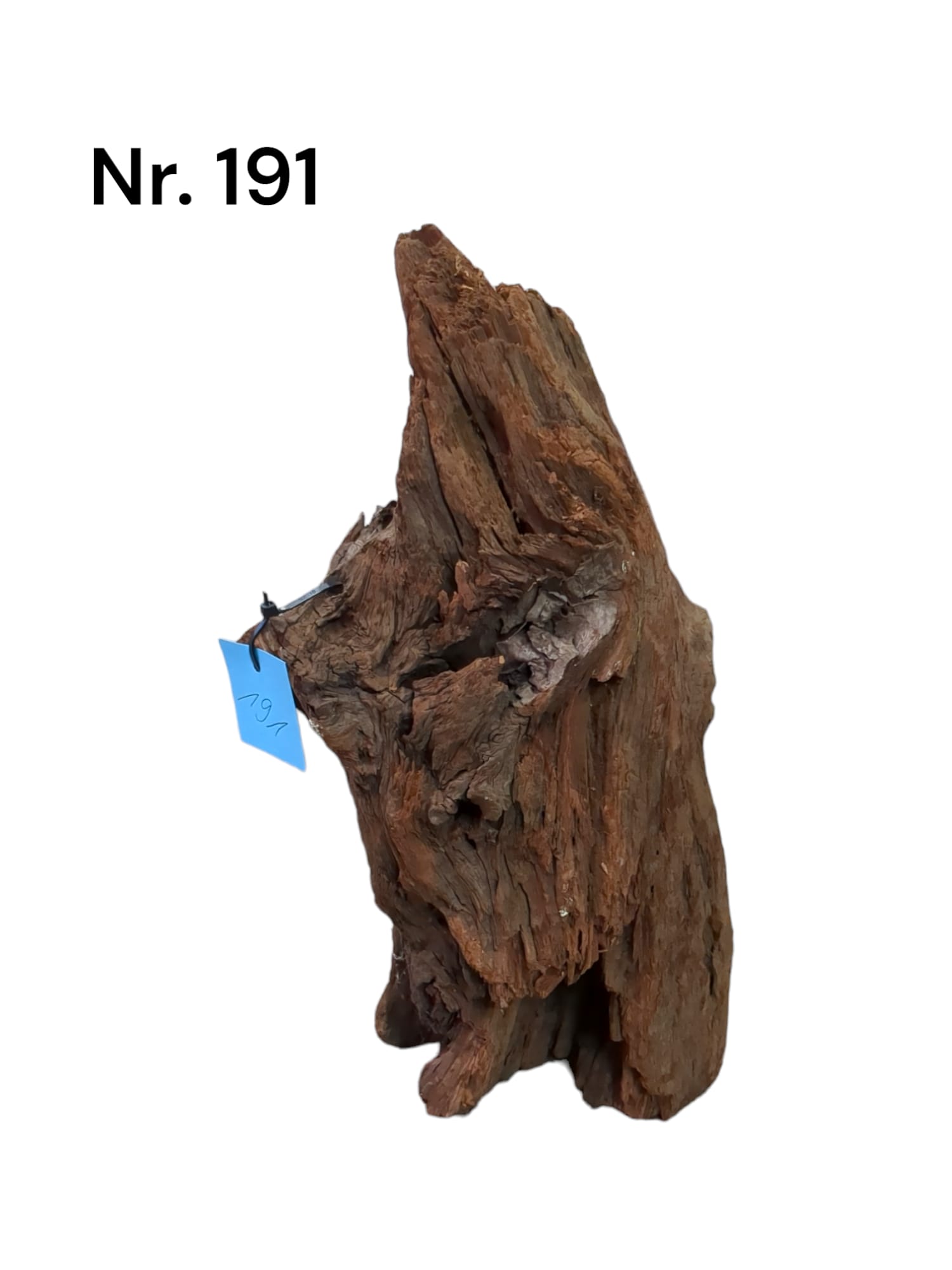 Mangrovenwurzel-Nr-191_.jpg
