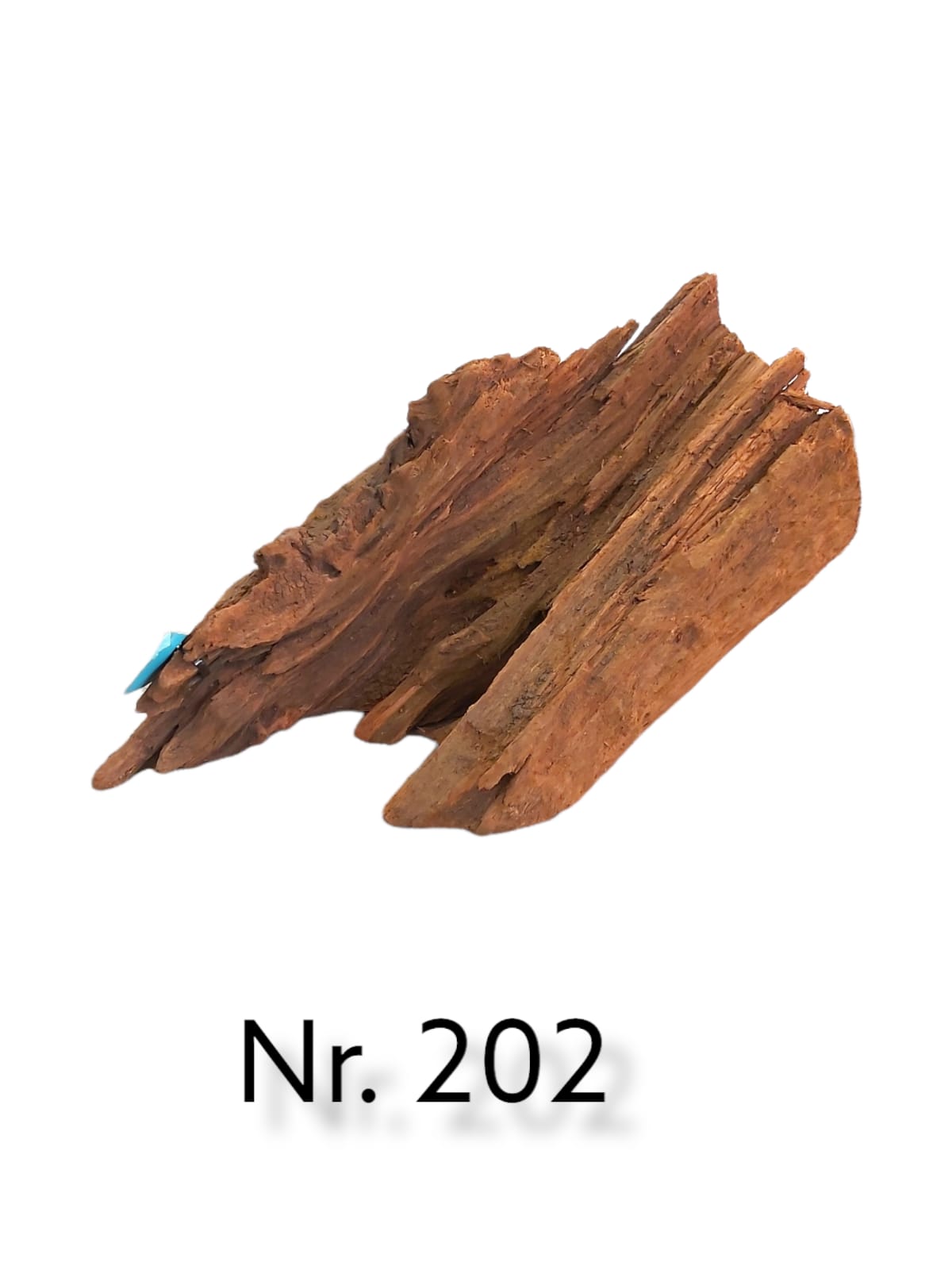 Mangrovenwurzel-Nr-202_.jpg