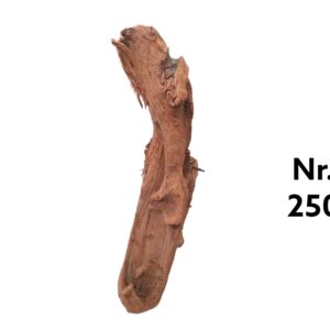Mangrovenwurzel-Nr-250.jpg