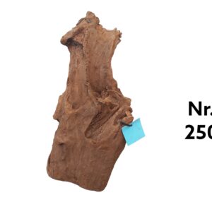 Mangrovenwurzel-Nr-250tMumhKFeiOW86.jpg