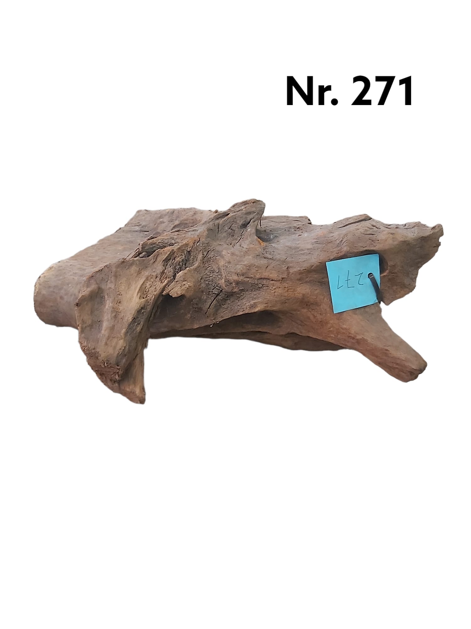 Mangrovenwurzel-Nr-271.jpg