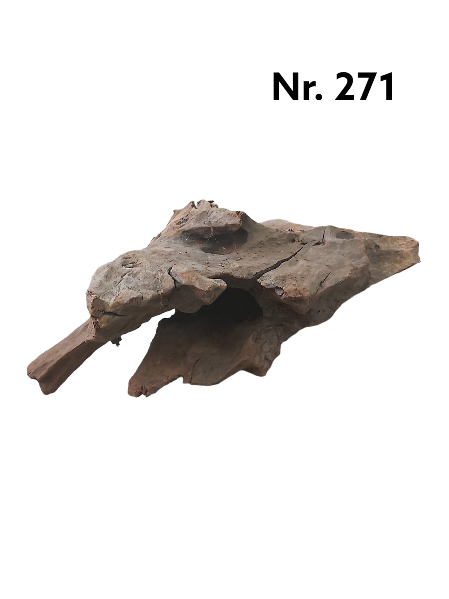 Mangrovenwurzel-Nr-271IlxfHlfJTn4Z4.jpg