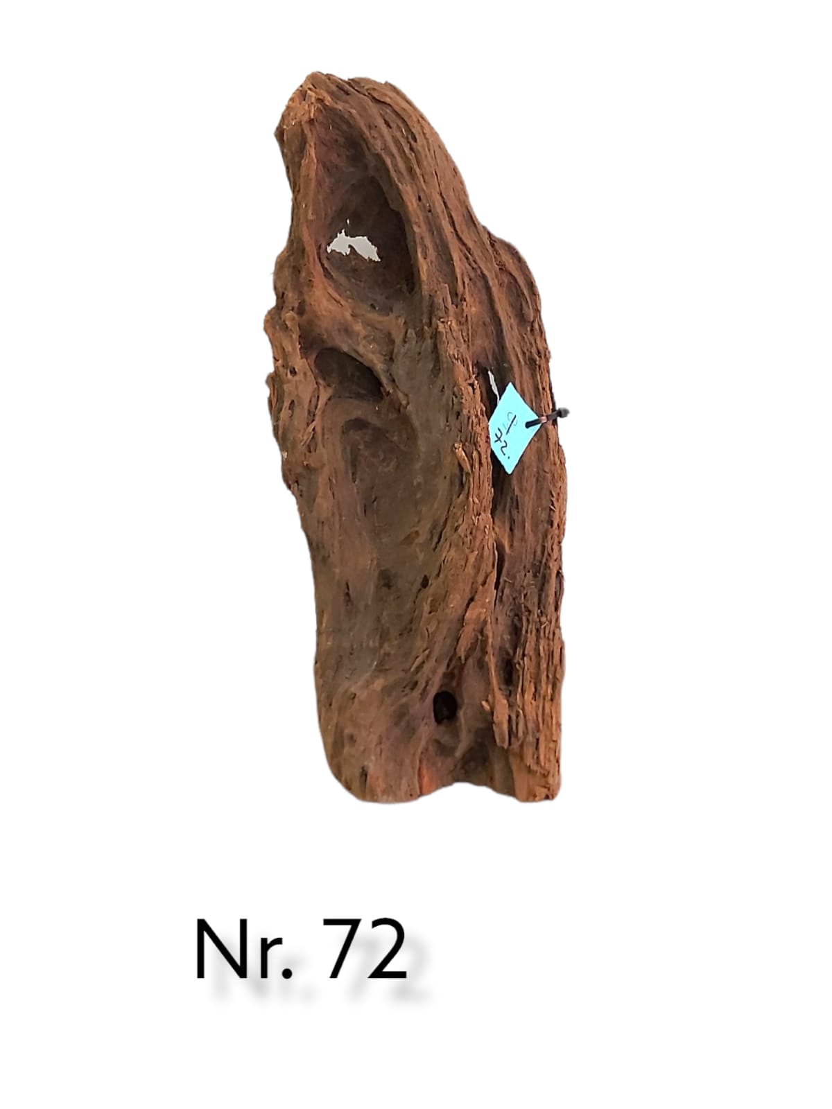 Mangrovenwurzel-Nr-72_.jpg