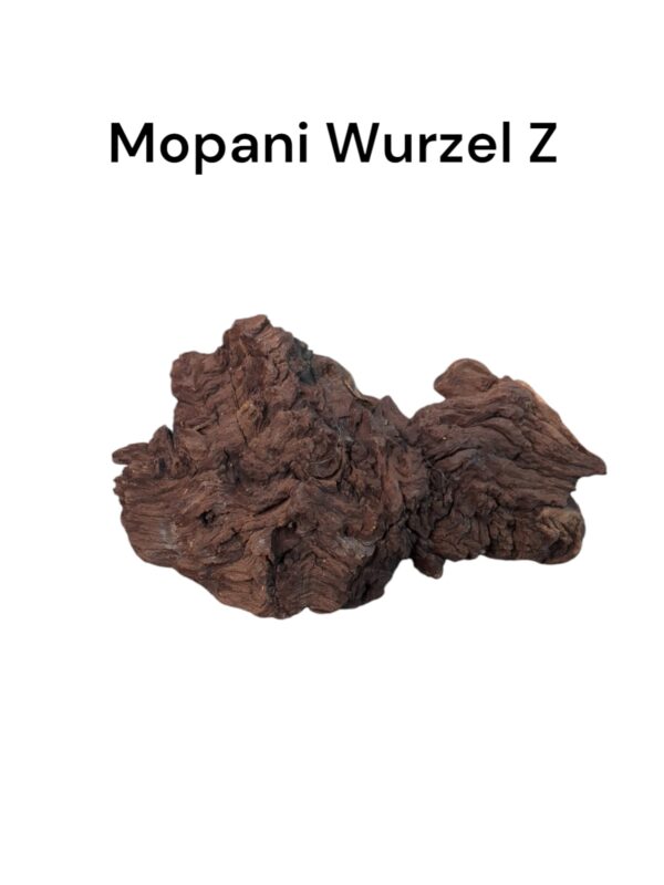 Mopaniwurzel Z