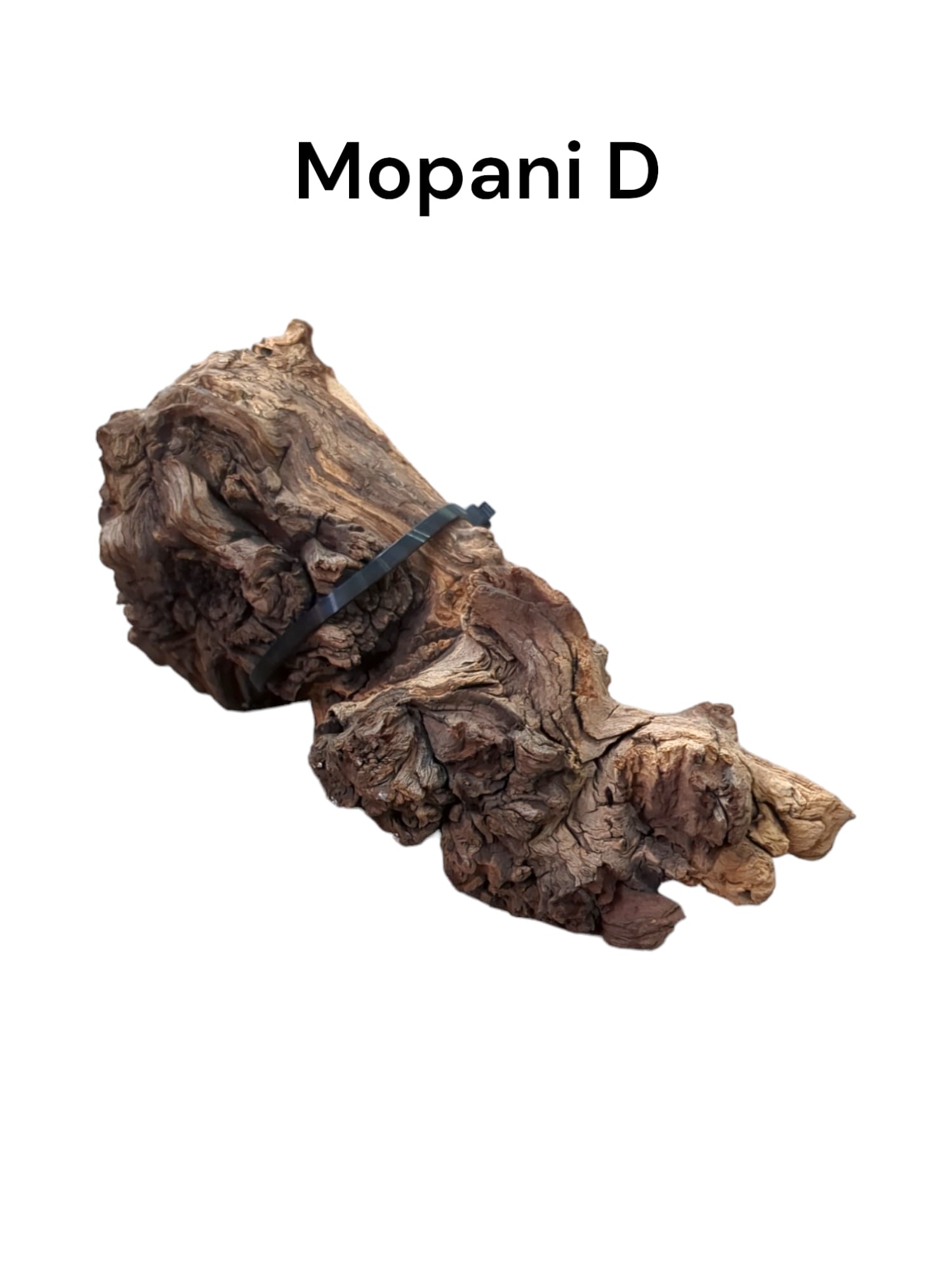 mopani d.jpg