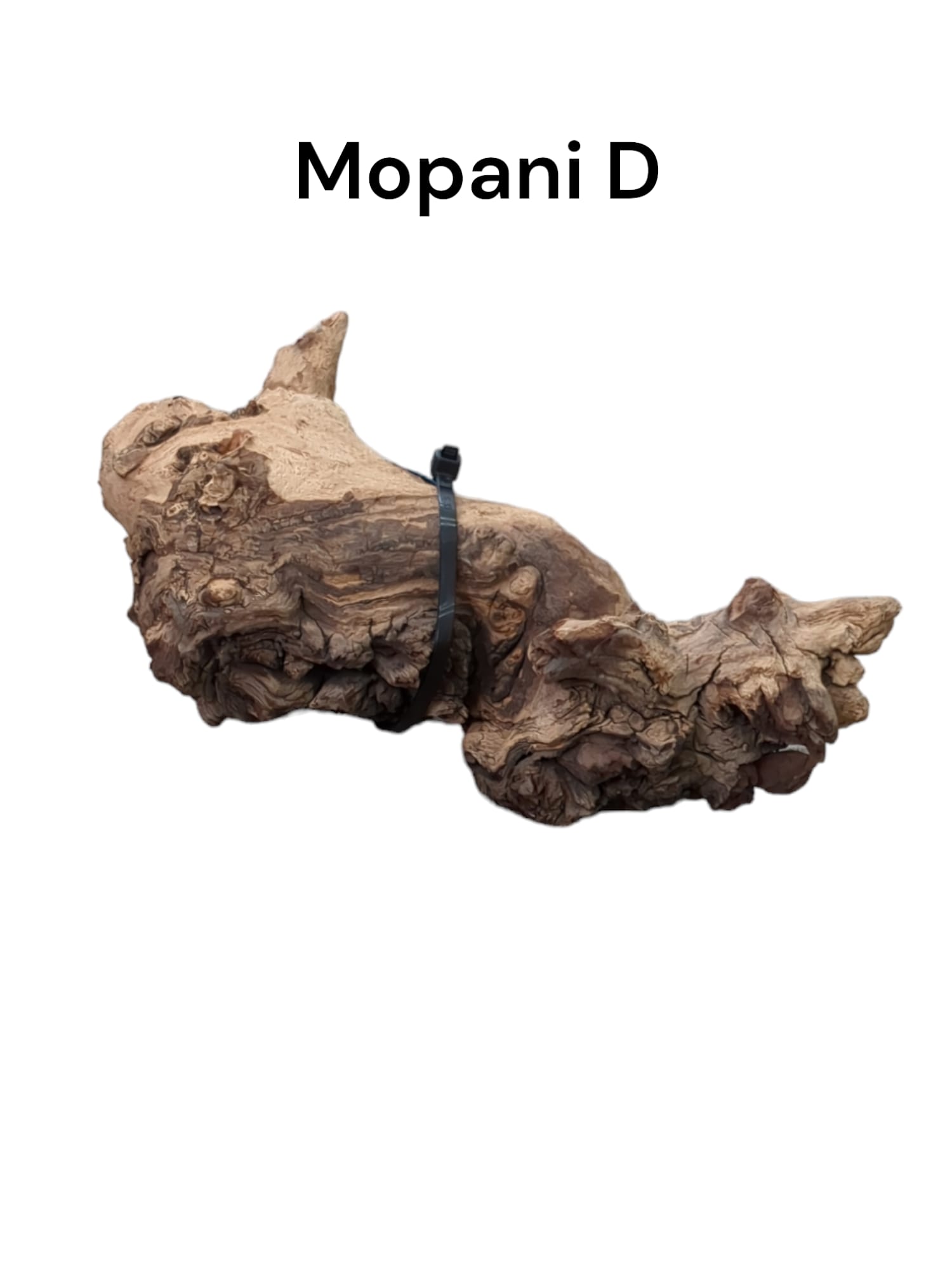 mopani d2.jpg