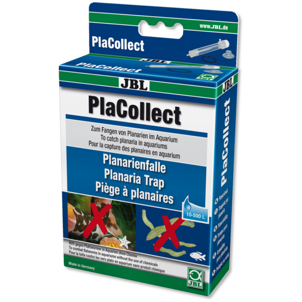 PlaCollect - Planarienfalle