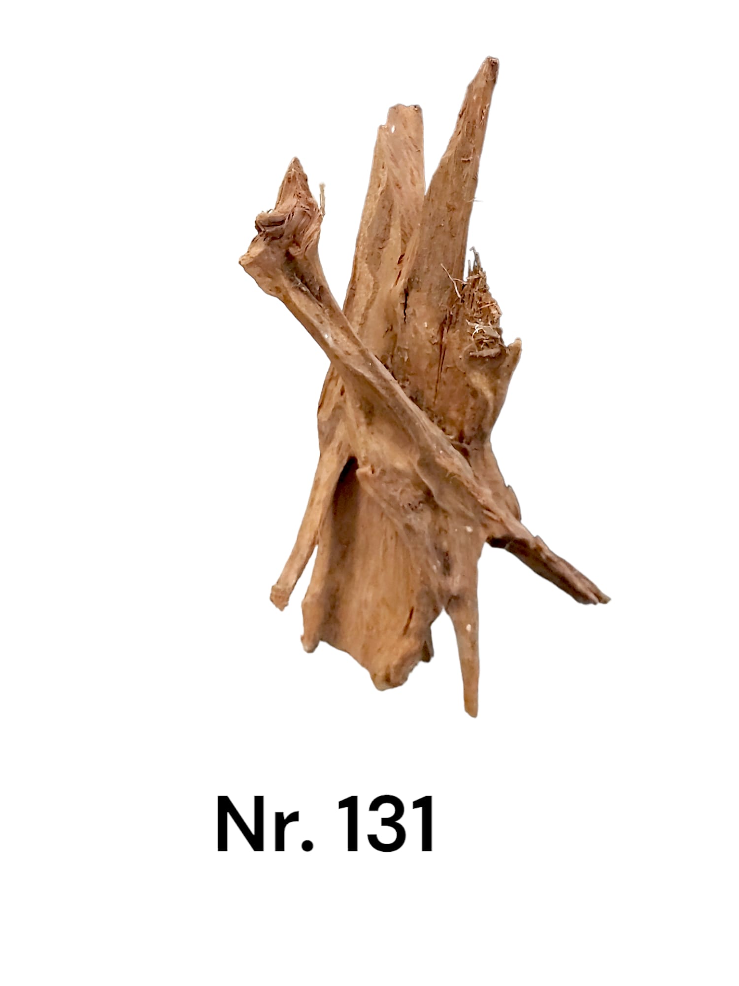Mangrovenwurzel-Nr-131M7Bz09WYOvln7.jpg