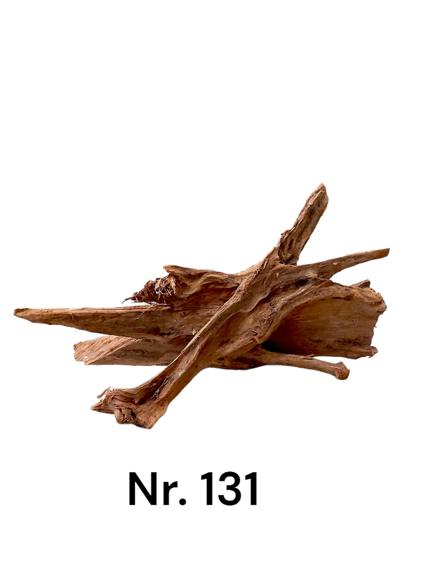Mangrovenwurzel-Nr-131_1.jpg