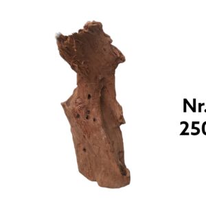 Mangrovenwurzel-Nr-250_.jpg