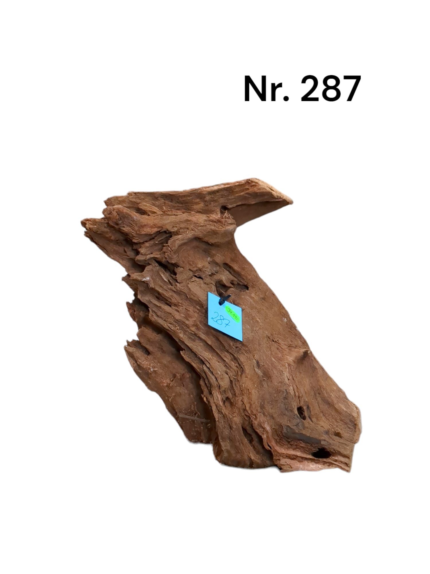 Mangrovenwurzel-Nr-287_.jpg