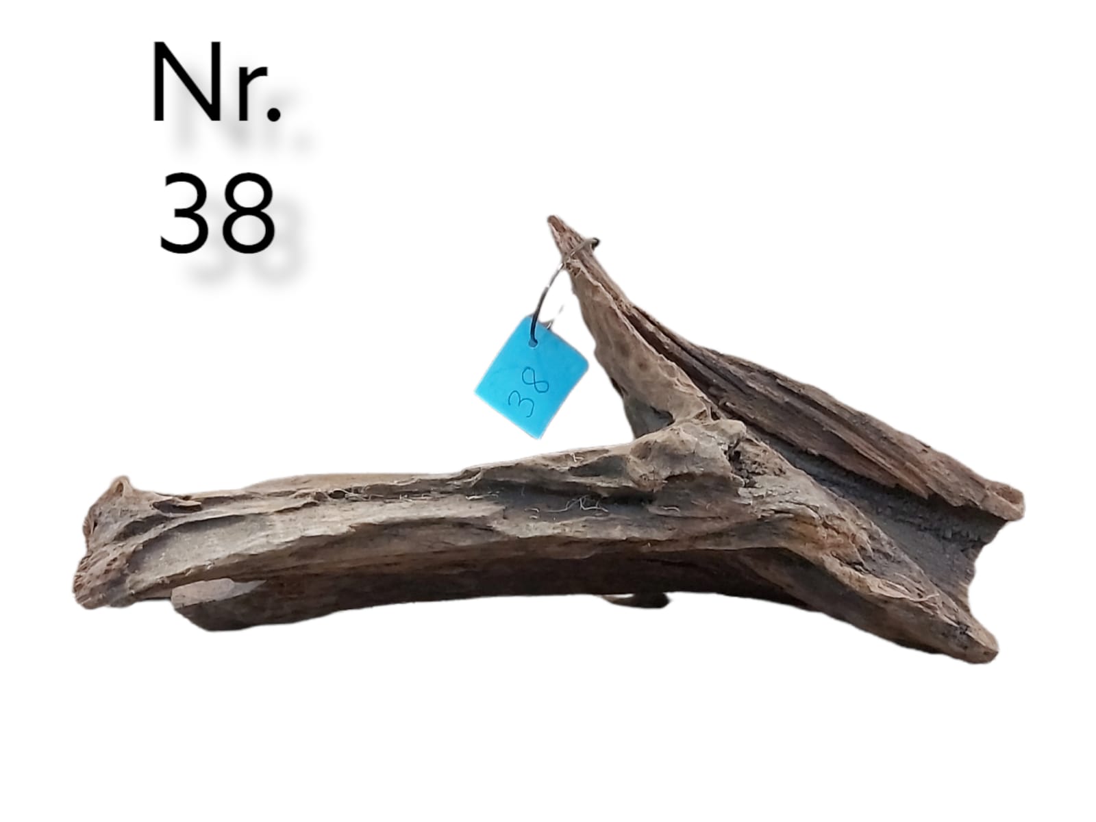 Mangrovenwurzel-Nr-38_.jpg