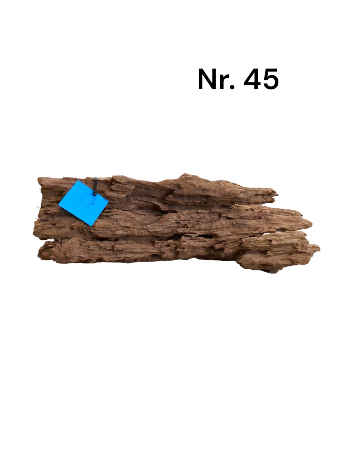 Mangrovenwurzel-Nr-45_.jpg