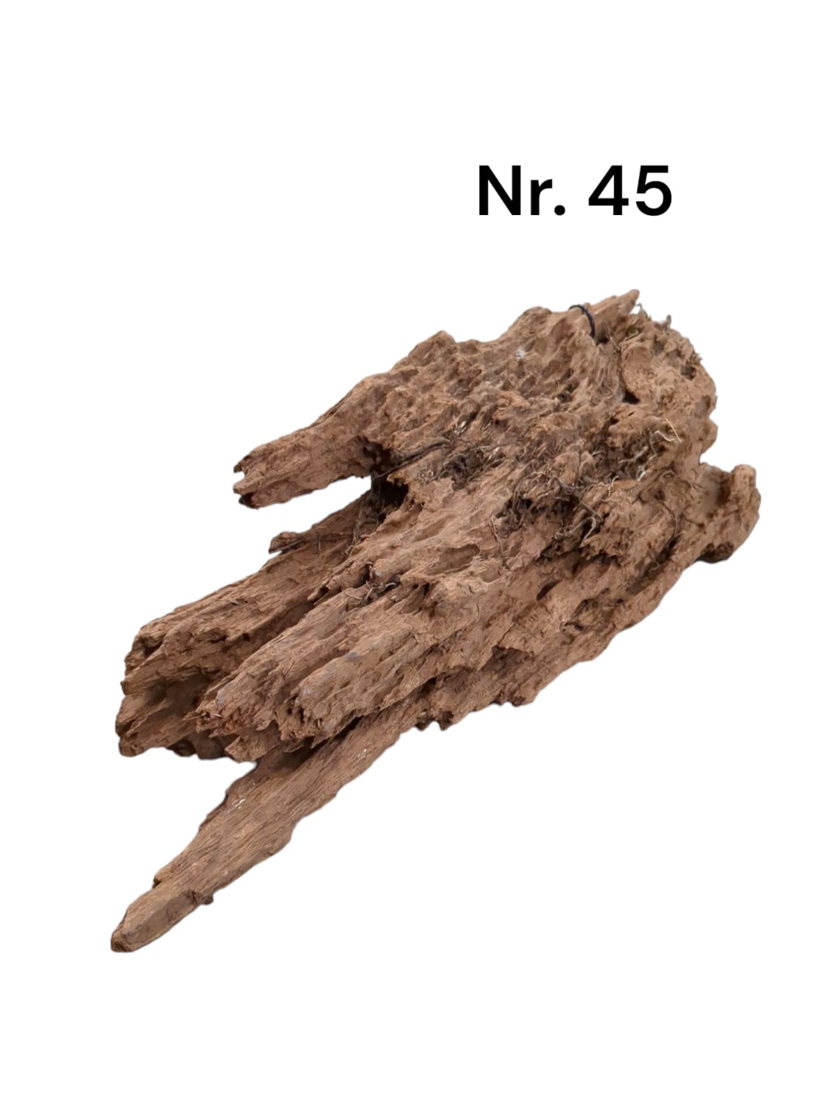 Mangrovenwurzel-Nr-45svjhKtyMGmDBT.jpg