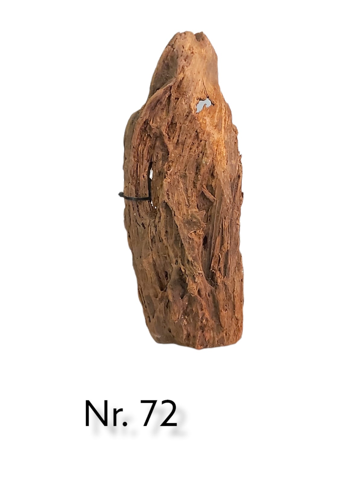 Mangrovenwurzel-Nr-72.jpg