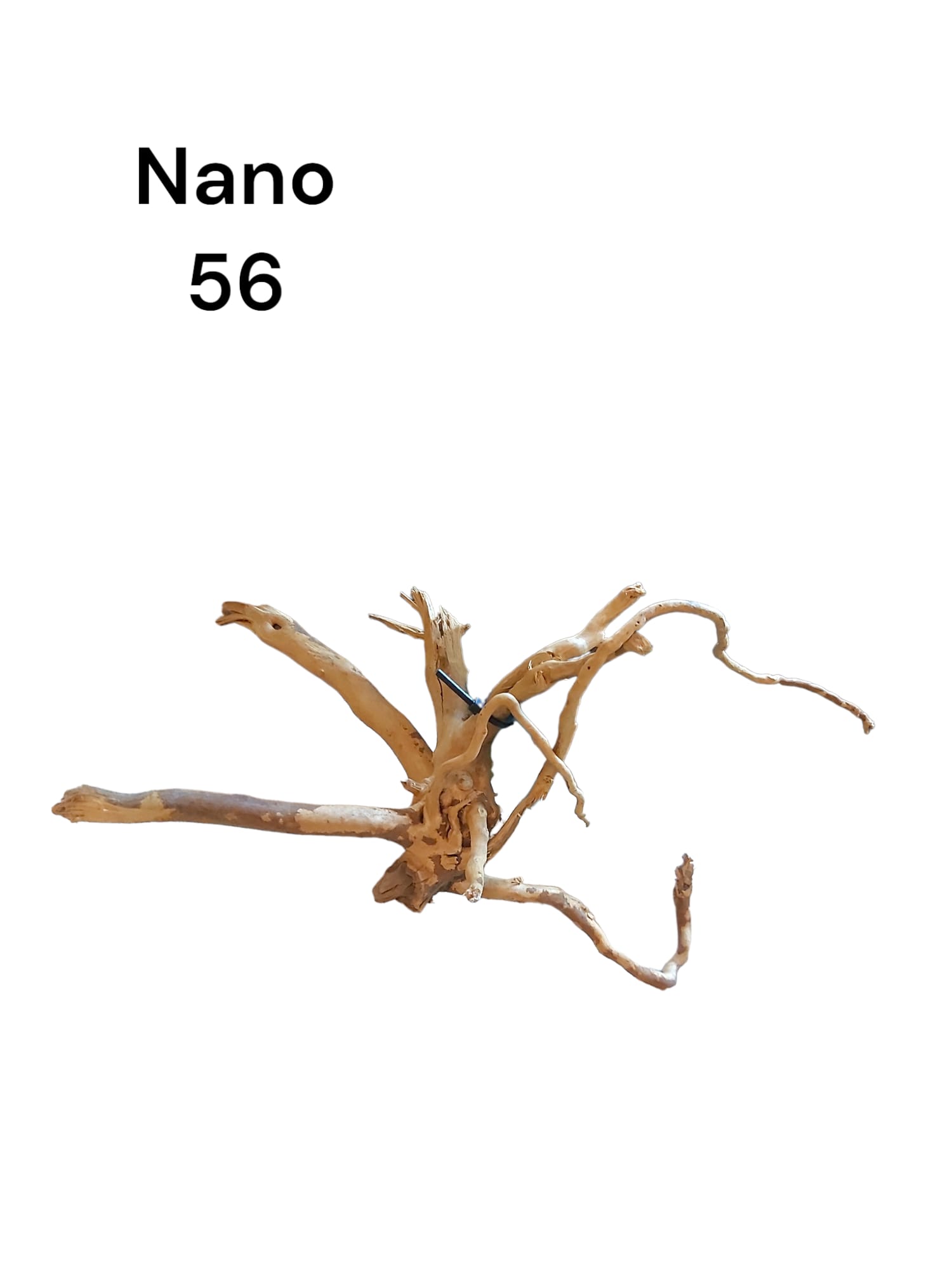 Nano-Fingerwurzel-56.jpg