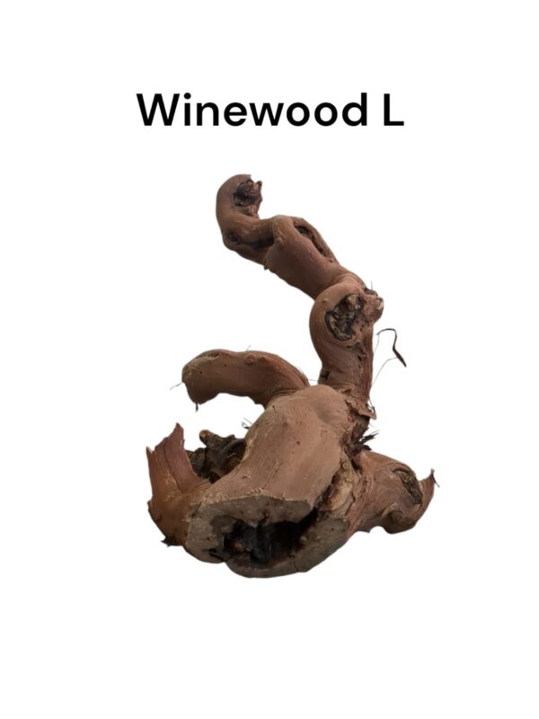 Winewood Rebholz L