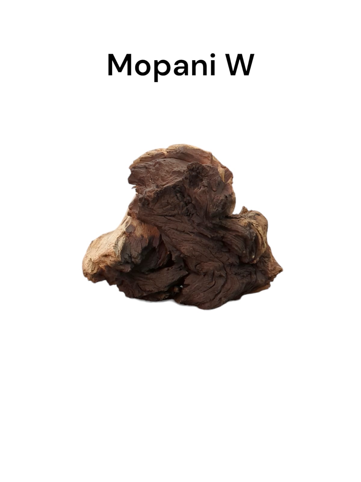 mopani w.jpg