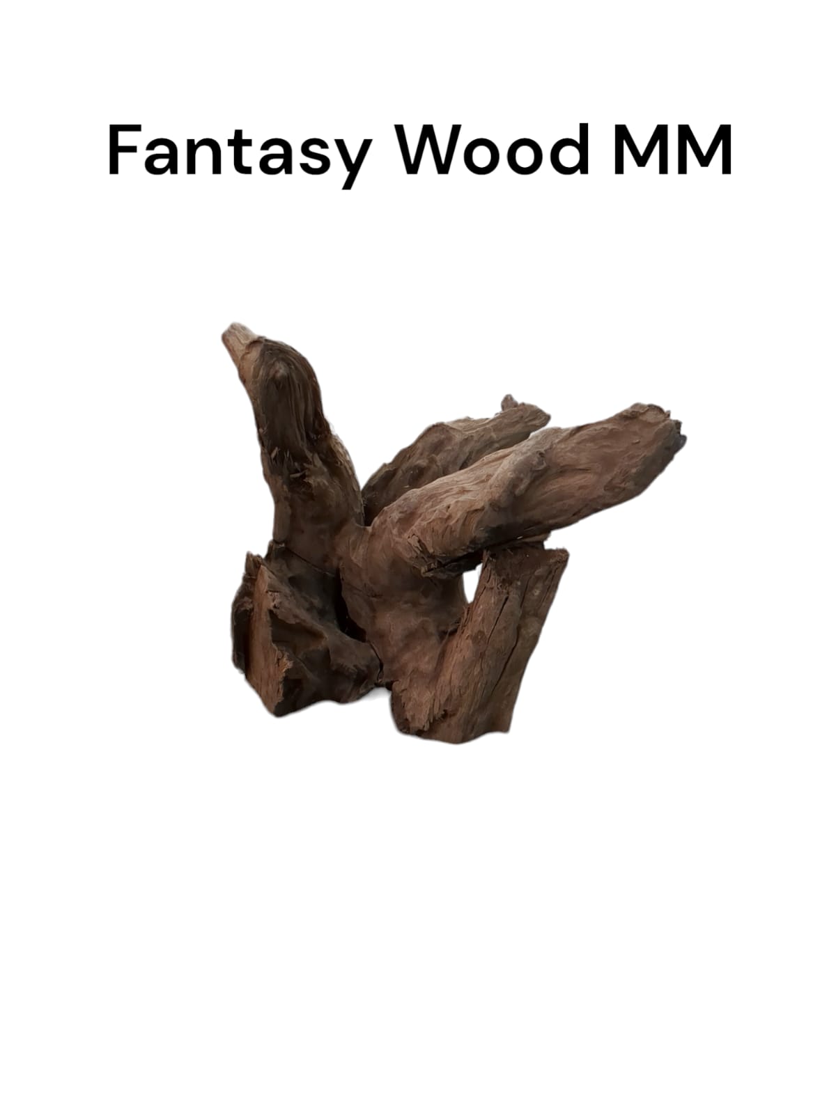 pinwood mm.jpg