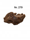 wurzel 279.jpg