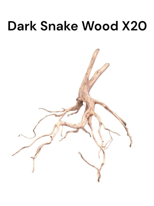 Dark Snake Wood X20