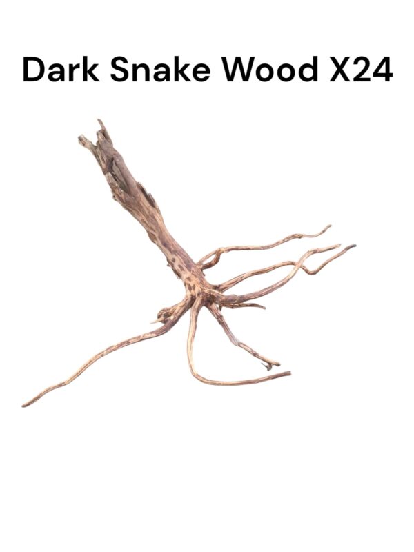 Dark Snake Wood X24