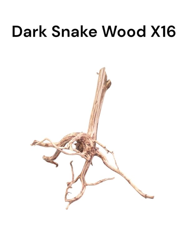 Dark Snake Wood X16