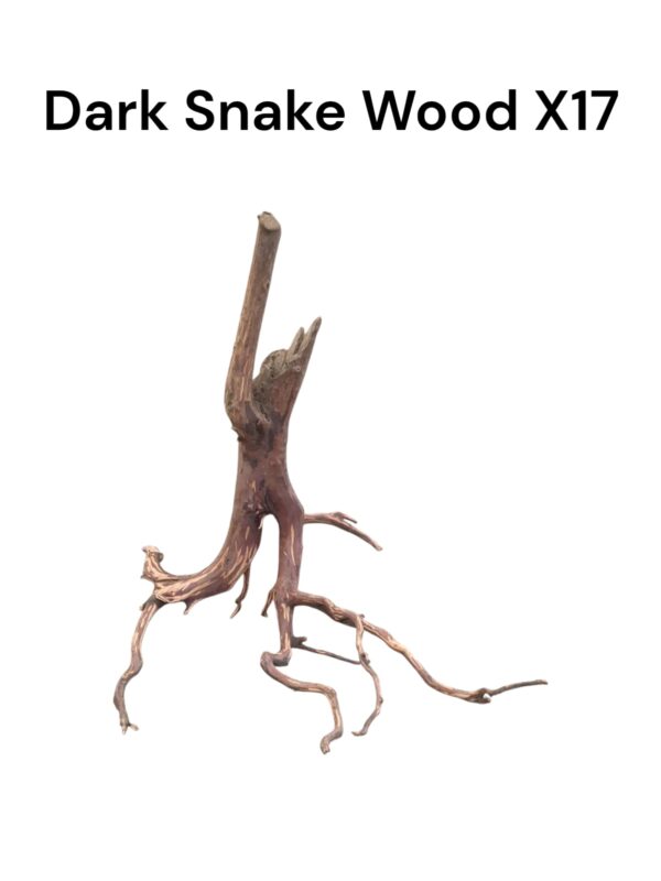 Dark Snake Wood X17