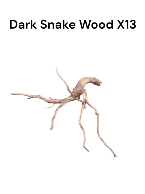 Dark Snake Wood X13