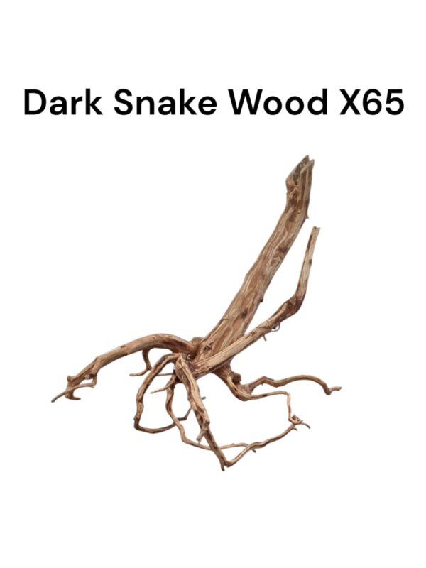 WhatsApp Image 2024-12-12 at 13.33.43.jpeg