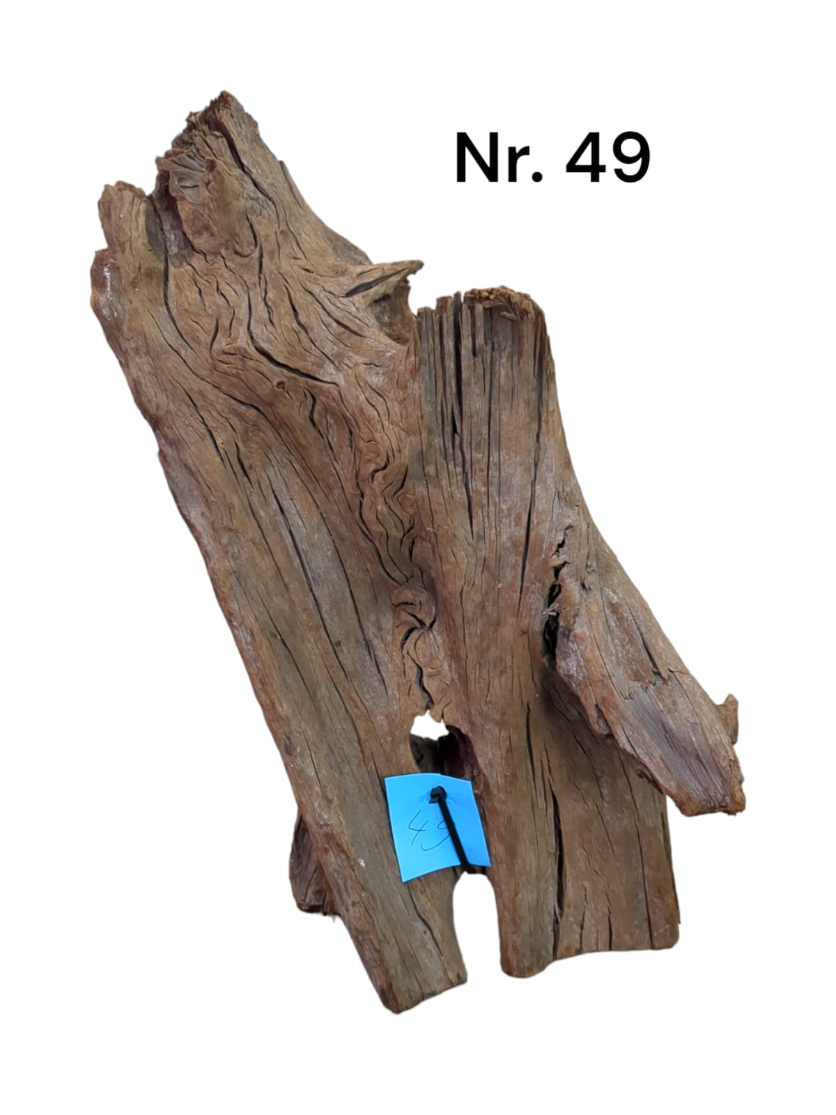 Mangrovenwurzel-Nr-49___.jpg