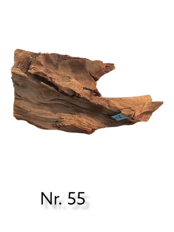 Mangrovenwurzel-Nr-55.jpg